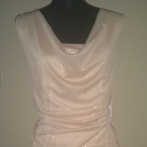 🆕 Champagne-Blush Special Occasion Dress